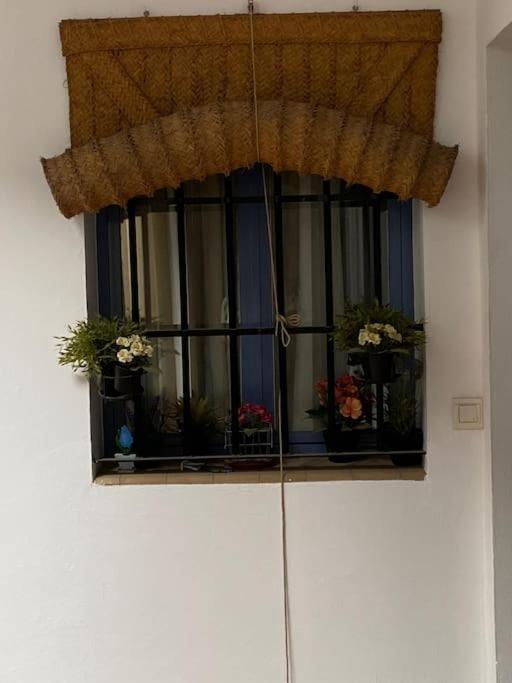 Hispalis Casa Pilatos إشبيلية المظهر الخارجي الصورة