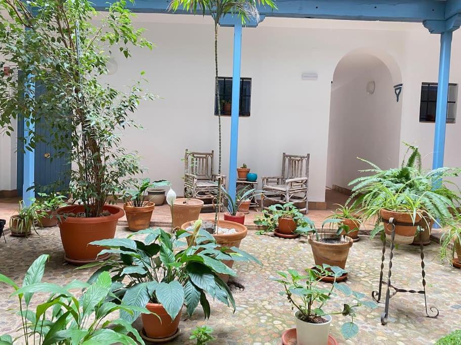 Hispalis Casa Pilatos إشبيلية المظهر الخارجي الصورة